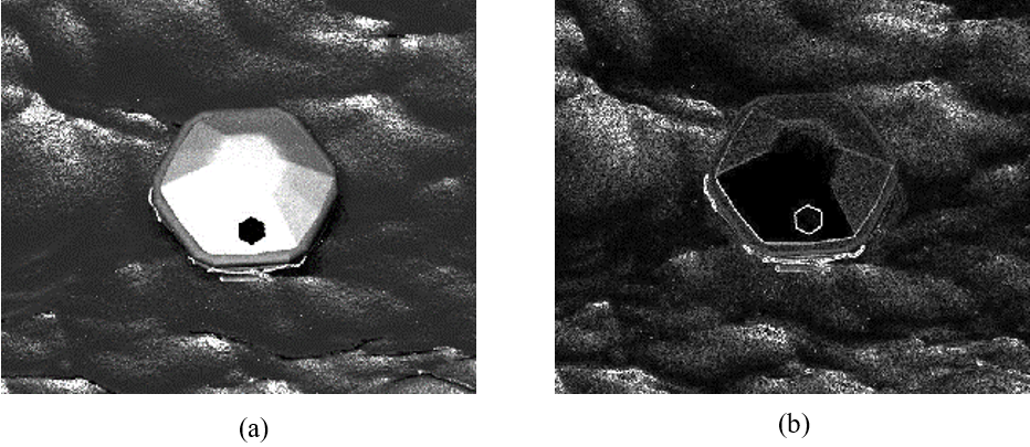 Пример изображения спасательного плота ПСН-10: (а) исходное изображение 
в градациях серого, (б) карта границ