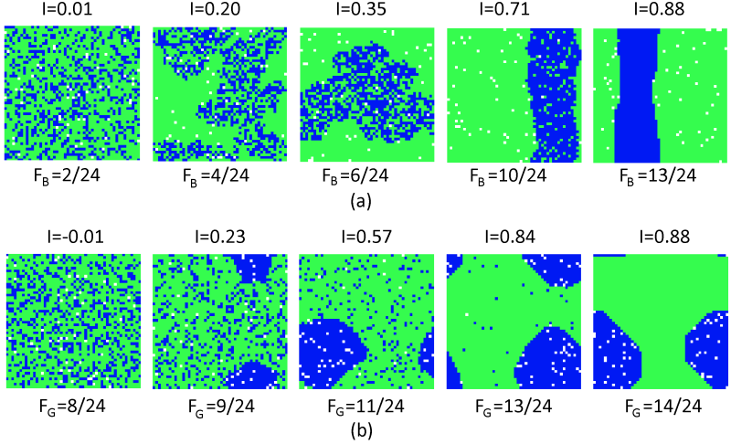 рис.19 Устойчивые паттерны модели для β = 0.3:
(a) полностью толерантное зелёное большинство (FG = 0);
(b) полностью толерантное синее меньшинство (FB = 0) 