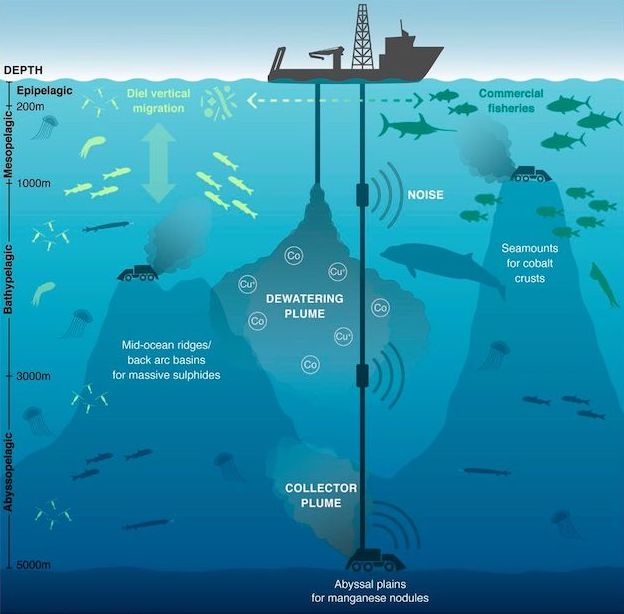 Вот так схематично выглядит разработка морского дна. На шкале слева показаны уровни глубины и их названия. Diel vertical migration — суточная вертикальная миграция. Commercial fisheries — зоны промыслового отлова рыбы. Noise — шум. Dewatering plume — выбросы отходов первичной переработки. Seamounts for cobalt crusts — горы с кобальтовыми корками. Mid-ocean ridges/back arc basins for massive sulphides — срединно-океанические хребты и задуговые котловины с отложениями сульфидов. Collector plume — выбросы добывающих машин. Abyssal plains for manganese nodules — абиссальные равнины с марганцевыми конкрециями.