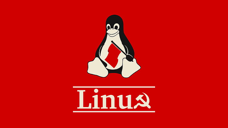 Власти предложили российским разработчикам продуктов искать дыры в Linux