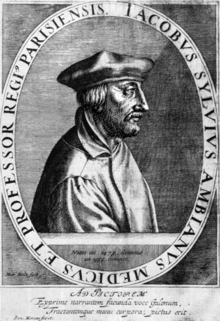 Жак Дюбуа, он же Сильвиус Якобус 1478 — 14.01.1555