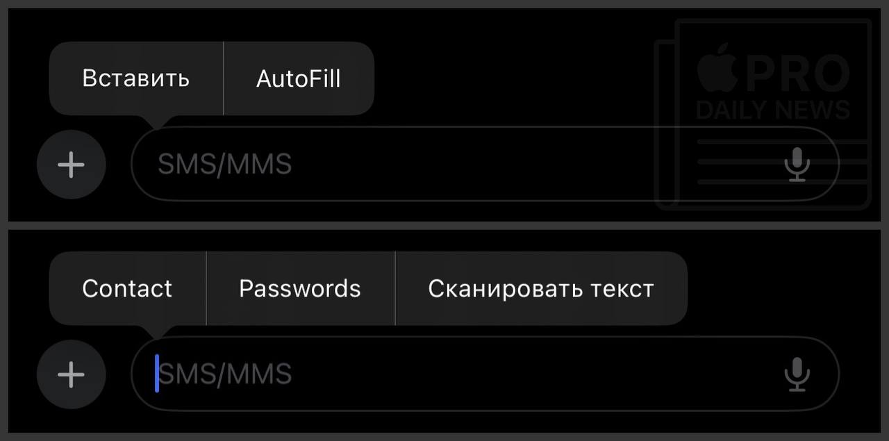 По нажатию на пока что не локализованную кнопку «AutoFill» можно вставить сканированный текст, контакт или пароль