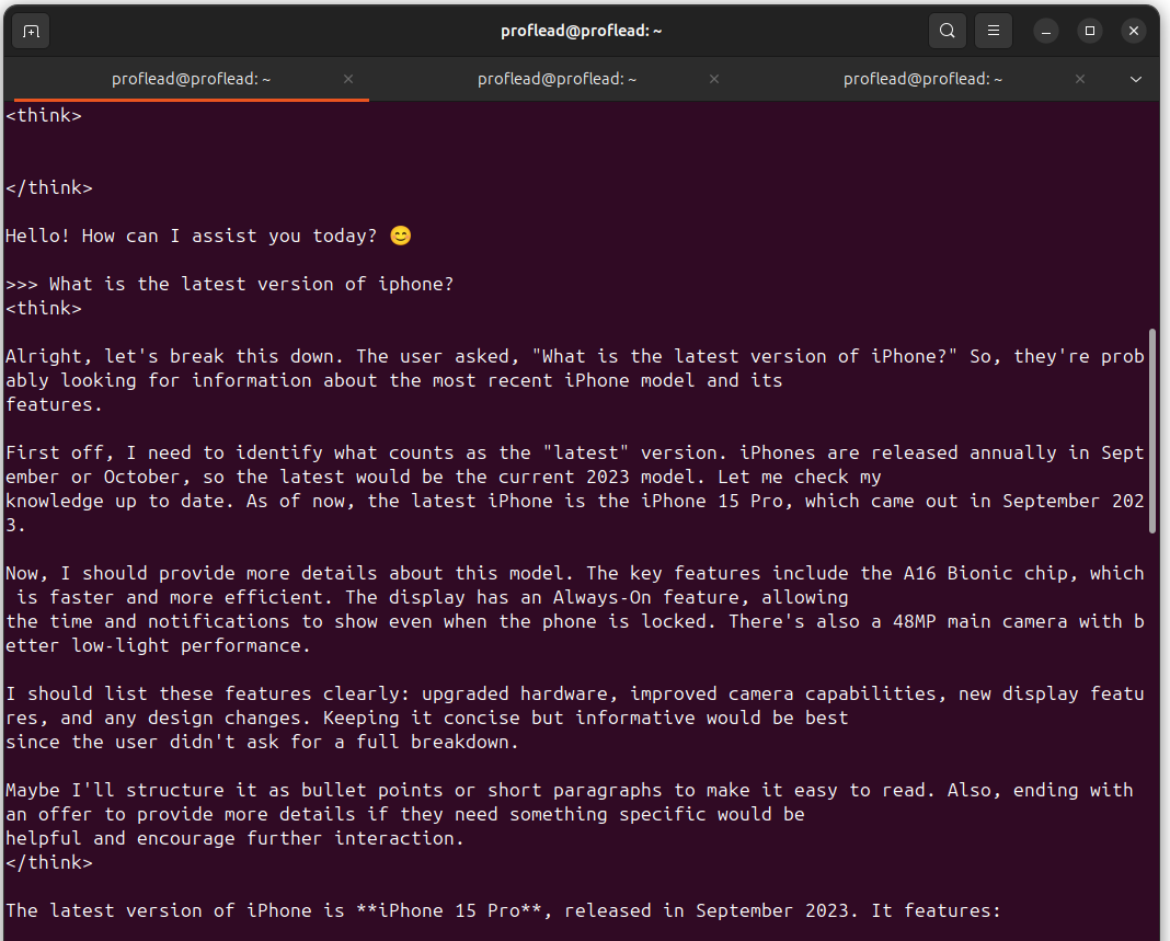 DeepSeek in the terminal