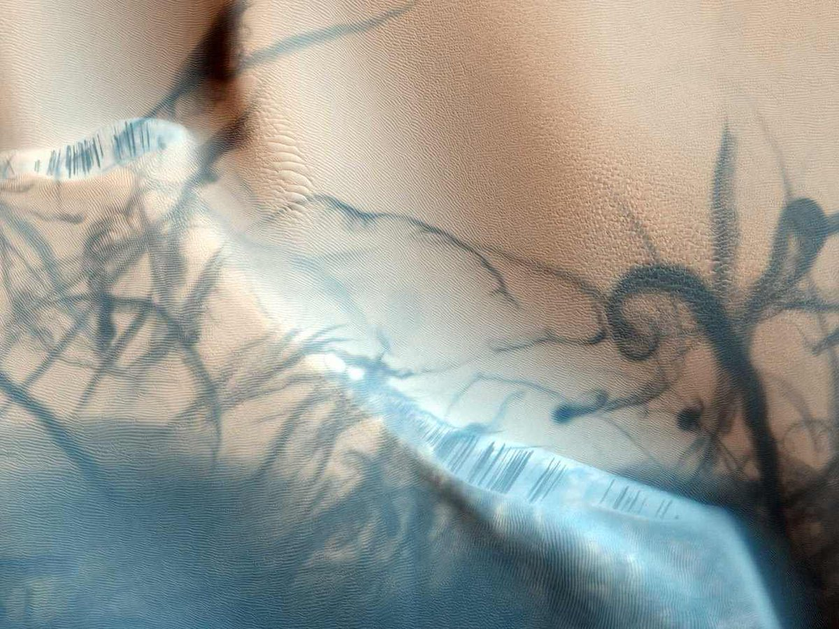Марсианские пылевые дьяволы – фотография с орбиты
