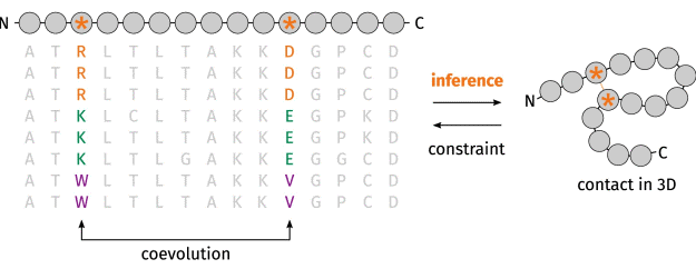Рис. 4. Корреляции в таблице MSA.