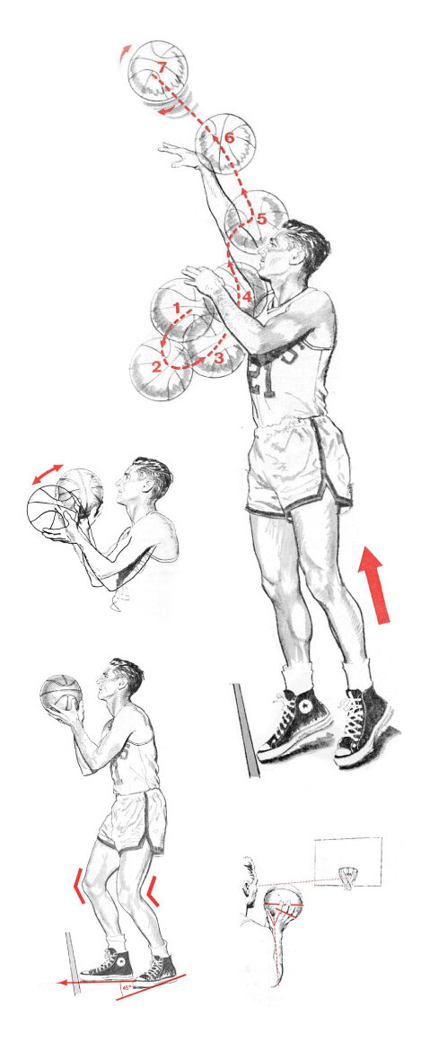 Бросок в баскетболе — отличный пример сложного многосуставного движения, которое лучше осваивать постепенно. Догадайтесь, что произойдет если пытаться за одно занятие освоить все технические нюансы этого элемента.