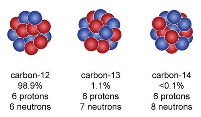 Все атомы углерода состоят из 6 протонов в ядре. Углерод-12 с 6 нейтронами составляет наиболее распространённую форму стабильного углерода; углерод-13 имеет 7 нейтронов и составляет оставшиеся 1,1% стабильного углерода; углерод-14 нестабилен, с периодом полураспада чуть более 5700 лет, но постоянно образуется в атмосфере Земли из-за падающих на неё космических лучей