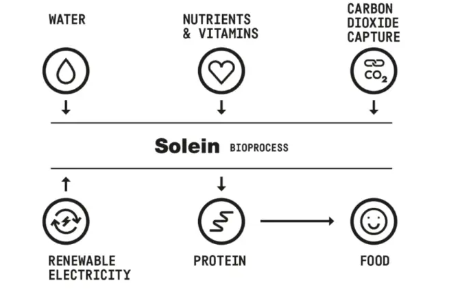 Схема создания Solein. Источник