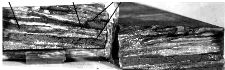 Рис. 16. Излом пробы, вырезанной из слитка Ni-Сu-Mo-V стали, плавка ЭШП, термообработка слитка – высокий отпуск. Излом по границам столбчатых кристаллов, некоторые кристаллы имеют блестящую поверхность.