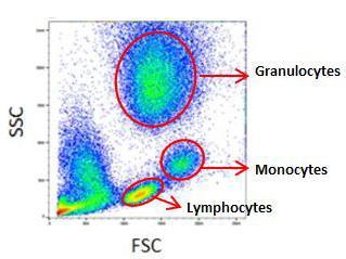 Источник: https://www.bio-rad-antibodies.com/blog/a-guide-to-gating-in-flow-cytometry.html