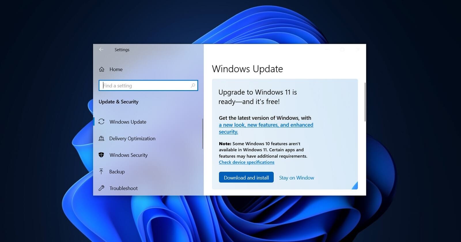Пользователи: Windows 11 создает множество пустых папок в каталоге