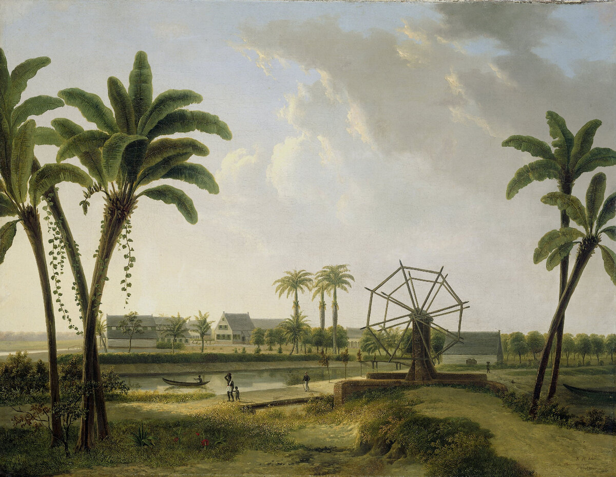 Вид на кофейную плантацию в Суринаме, Willem de Klerk, 1829 - 1876, https://www.rijksmuseum.nl/