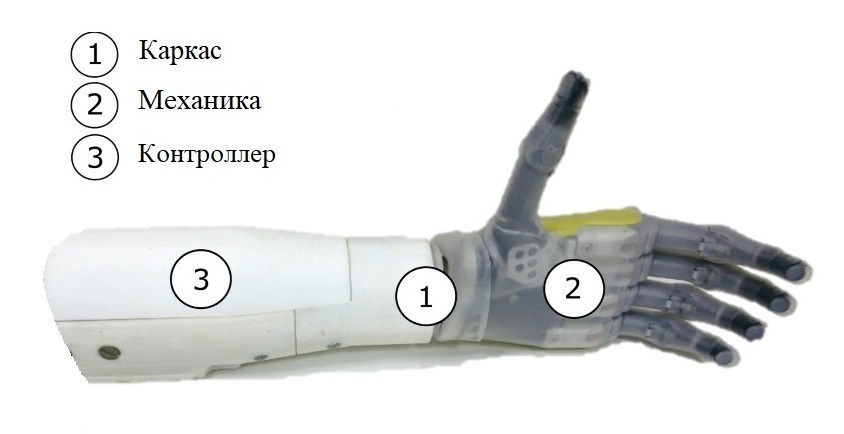 Рисунок 1 - Состав бионического протеза руки