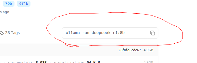 ollama run deepseek-r1:8b