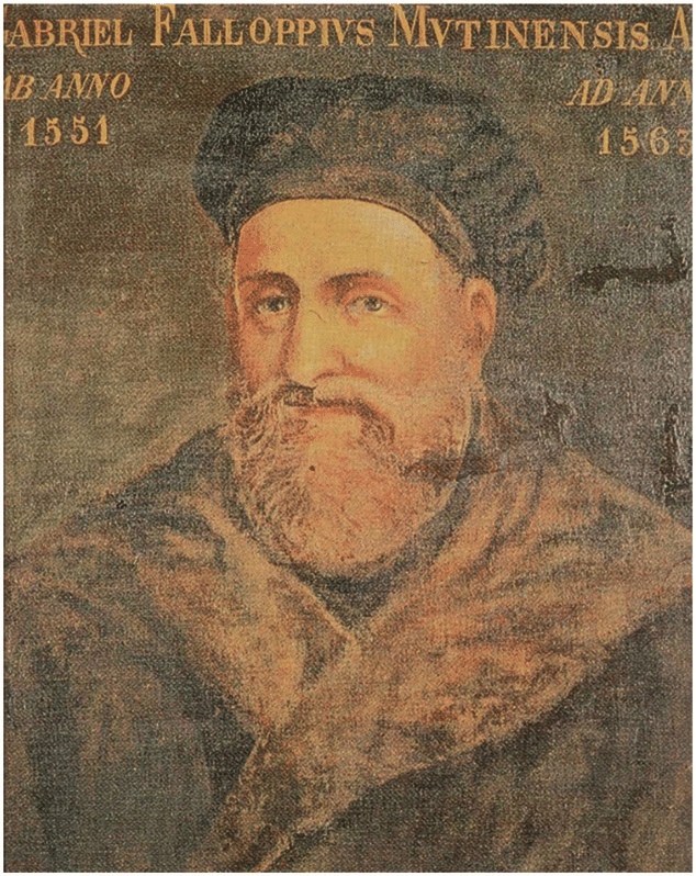 Габриэль Фаллопий1523 — 09.10.1562