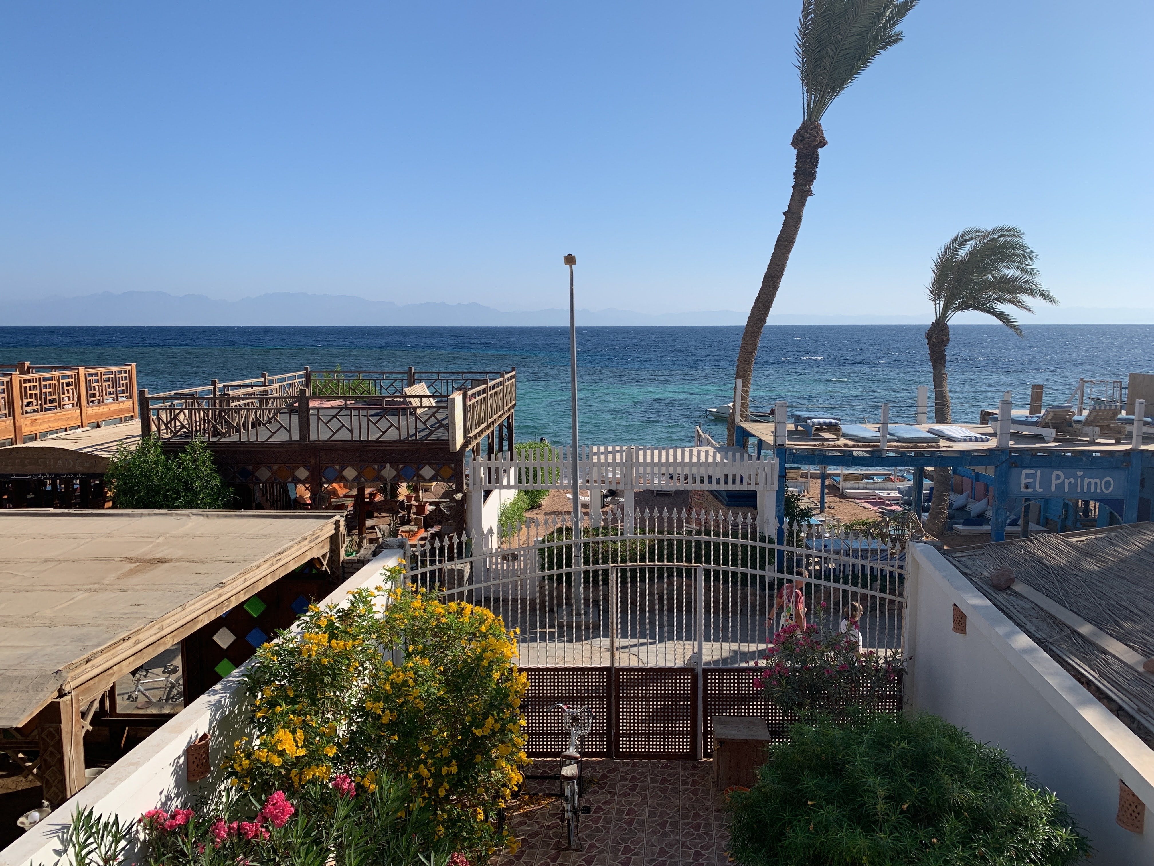 View from the balcony of our house in Dahab.