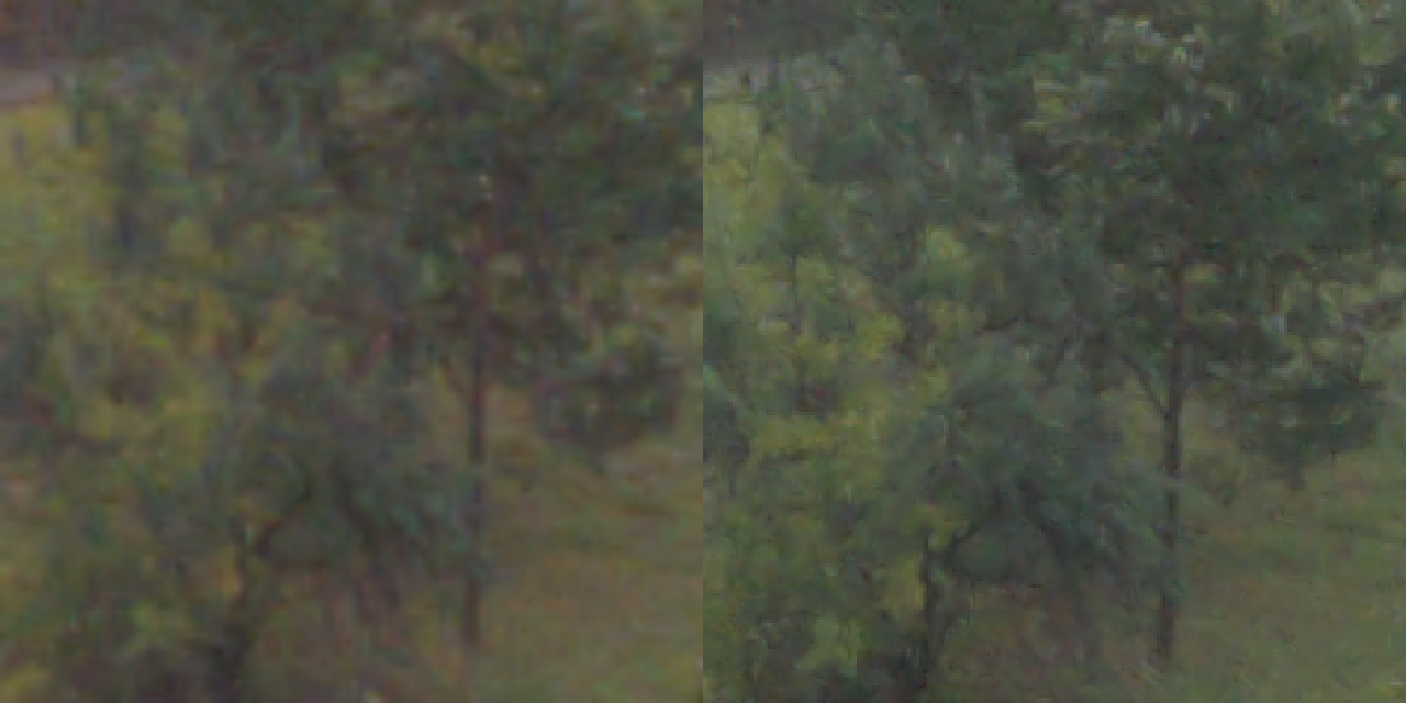 На изображении справа более чёткая листва и ствол дерева, приемлемый уровень детализации. Отмечу, что баланс белого немного различается между этими 2 кадрами