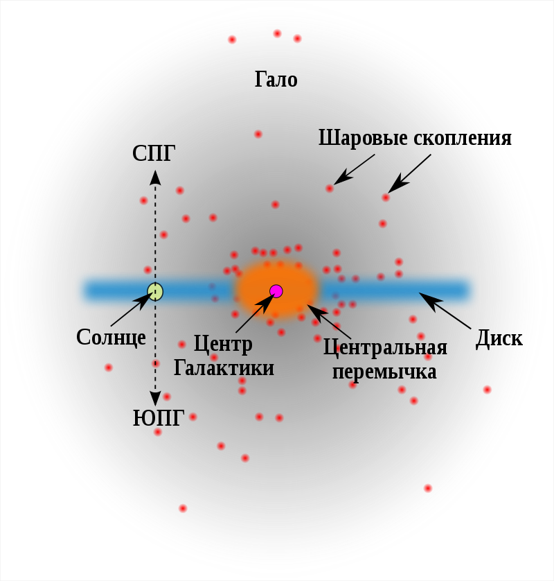 Схематичное изображение Млечного Пути сбоку. Wikipedia