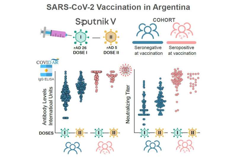 Схематическое изображение двухкомпонентной вакцины (вверху) и уровни антител IgG у вакцинированных ранее не болевших (внизу, синий цвет) и инфицированных (красный)