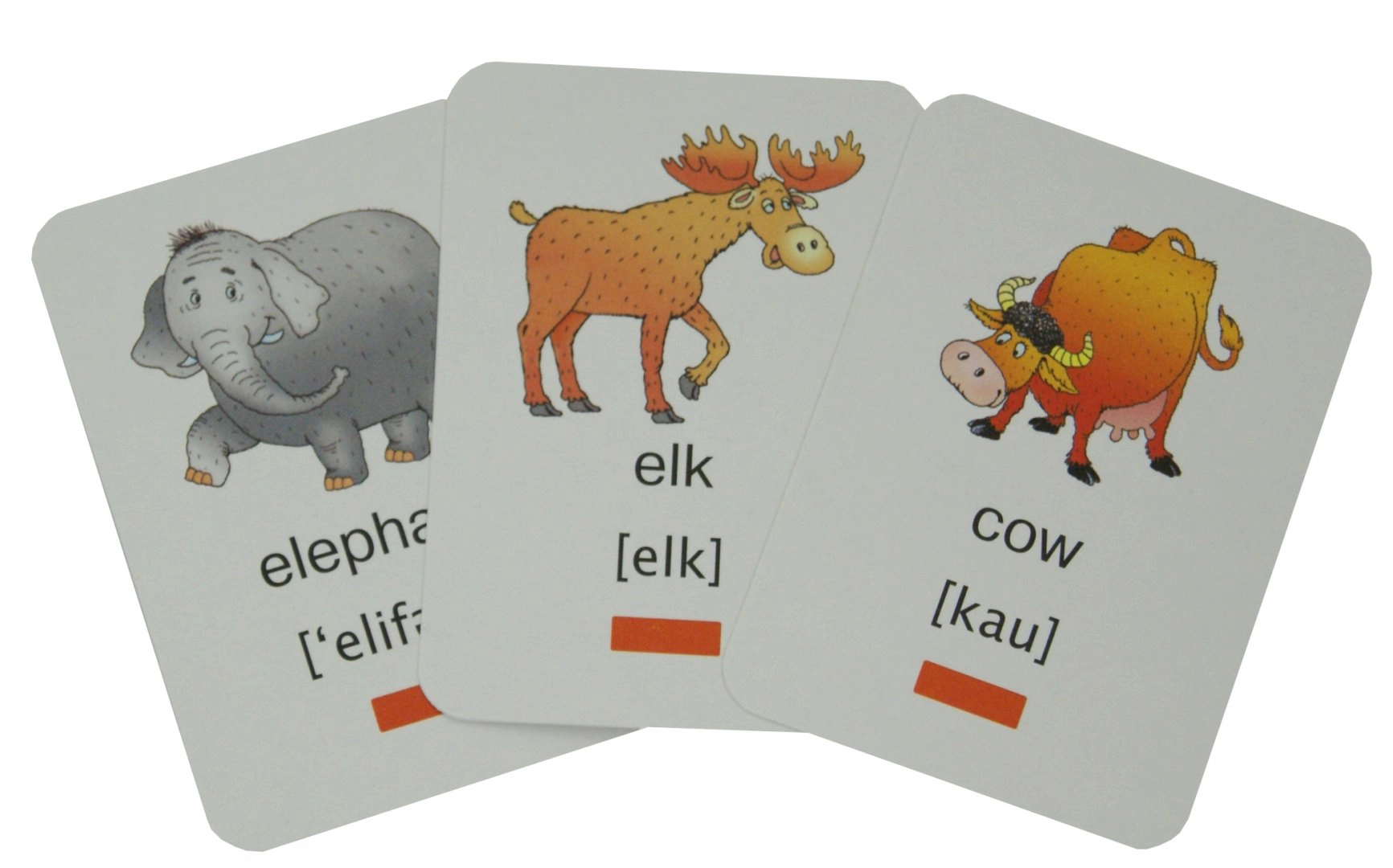 пример отличных карточек для изучения иностранных слов