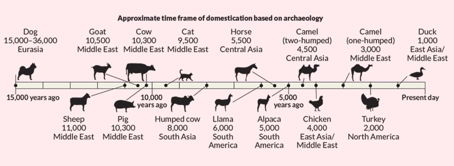 Приблизительные временные рамки одомашнивания животных, согласно археологическим находкам. Источник  
