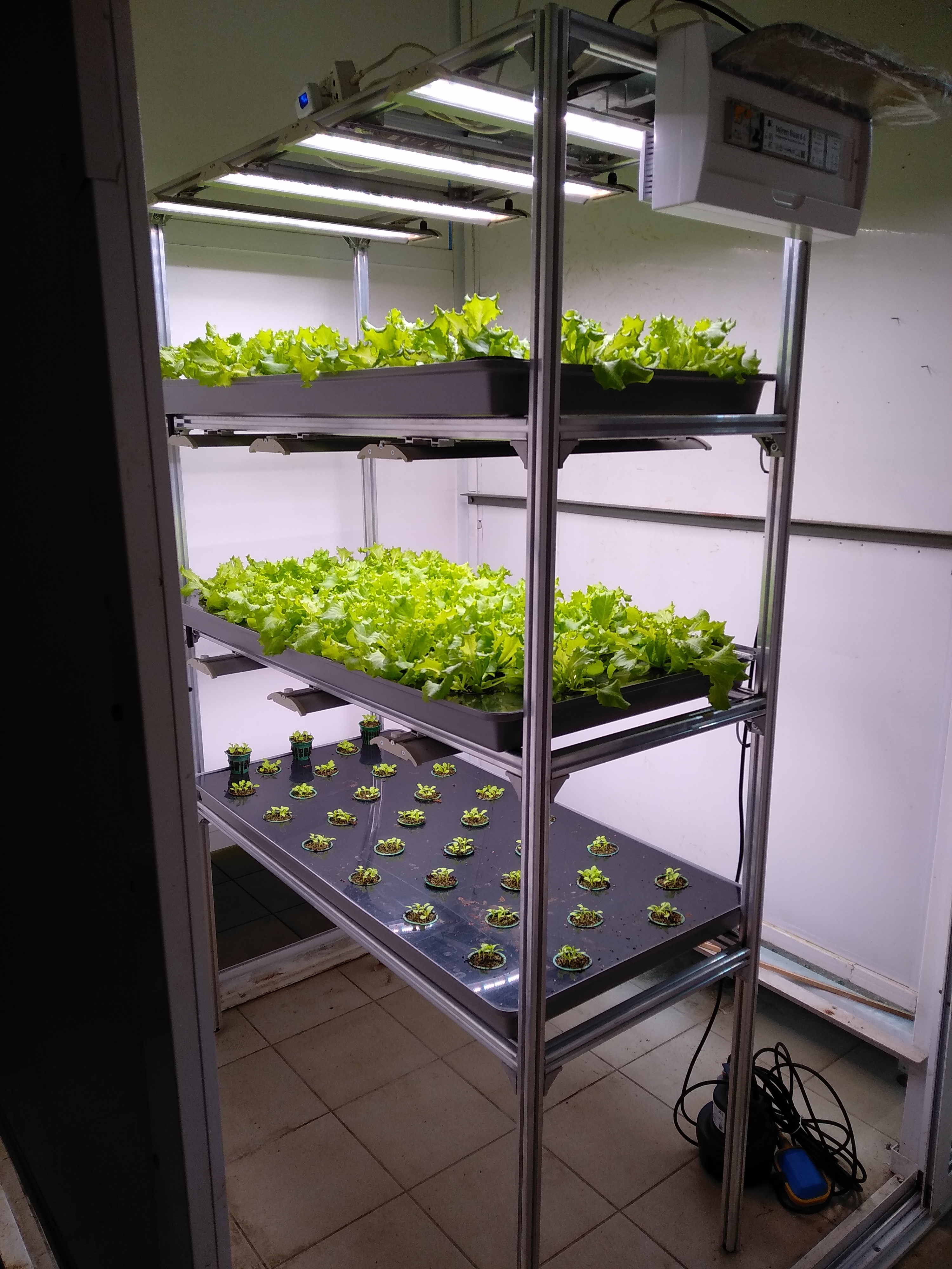Демонстрационная установка, на которой показываются возможности автоматизации. На данный момент выращивается салат, но потом основными культурами станут картофель и голубика