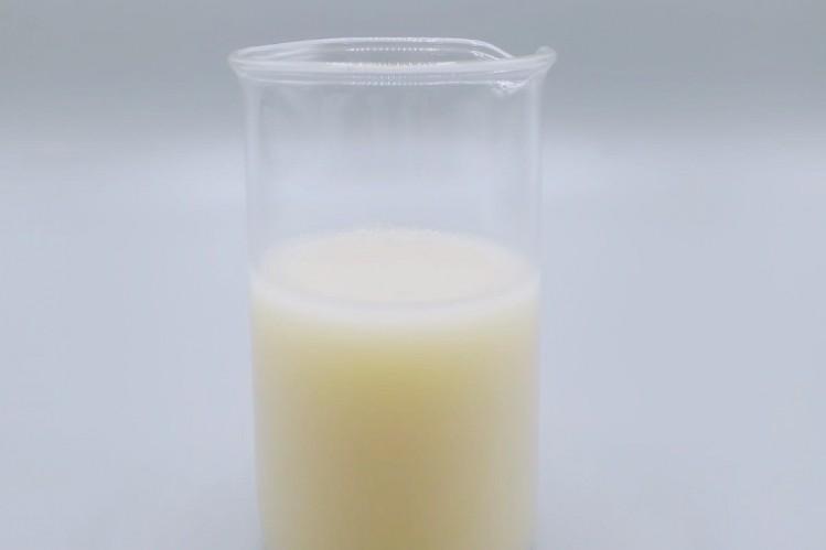 Молоко из микроводорослей от Sophie's Bionutrients. Источник 