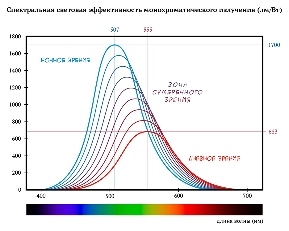 Рис. 1. График показывает восприимчивость зрения при разной освещённости. Чем больше кривая стремится к горизонтальной оси, тем меньше световая эффективность. Это значит, что красный (длина волны 600 нм) в дневном зрении имеет эффективность от 400 лм/Вт и хорошо различим, а в ночном режиме зрения его эффективность падает ниже 200 лм/Вт. Как учесть этот эффект, разрабатывая интерфейс, мы обсудим ниже. А как вычисляются все данные графика, можно почитать в специальных статьях. Пиковые точки для ночного и дневного зрения рассчитаны давно и отражены на графике