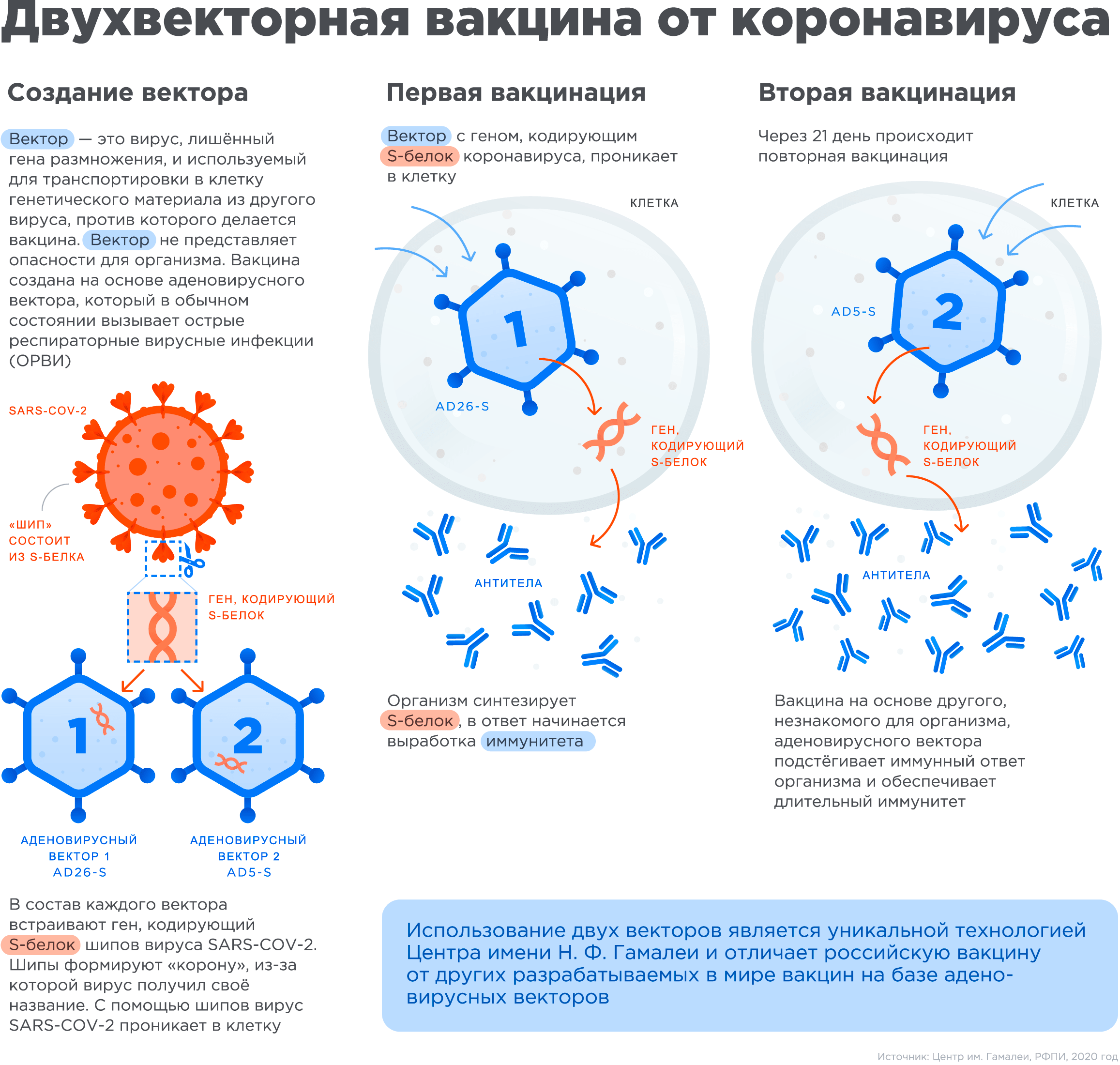 Источник: https://www.gamaleya.org/research/vaktsina-protiv-covid-19/