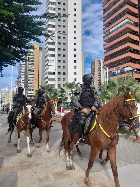 Конная полиция патрулирует набережную. По-моему их основная функция это позировать для фотографий с детьми, ни разу не видел их в погоне на конях за кем-то!