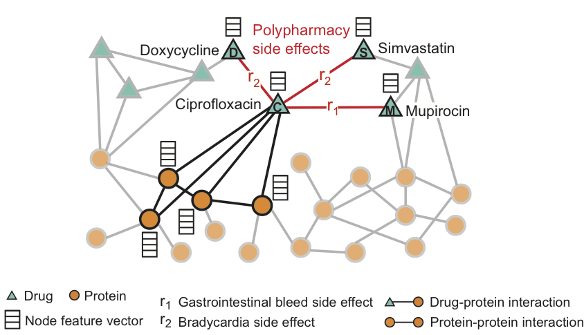 Источник: Zitnik Marinka, Agrawal Monica, Leskovec Jure. Modeling polypharmacy side effects with graph convolutional networks // Bioinformatics. — 2018. — Vol. 34, no. 13. — P. 457–466.