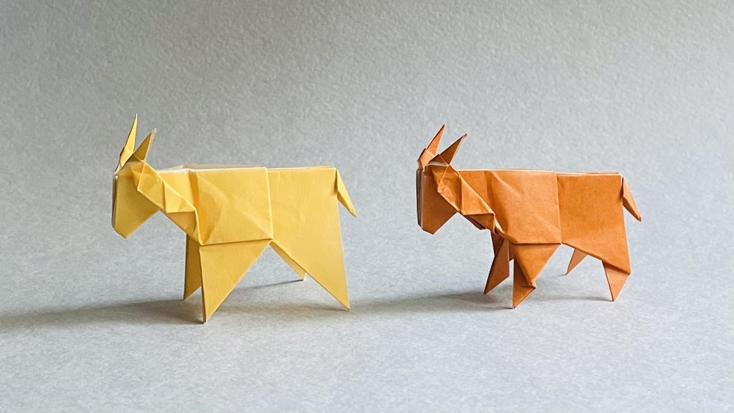 Поскольку ранее я уже придумала маленькую замысловатую козочку-оригами, мне захотелось создать довольно простую козочку с приятной последовательностью складывания. В итоге я придумал дизайн, который вы можете видеть на фотографиях