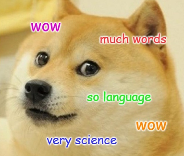 Исследование показало, что собаки в среднем понимают 89 слов или фраз