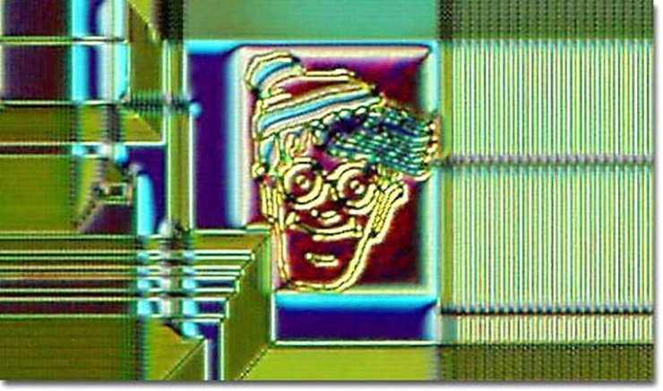 Проект  Silicon Zoo возник почти случайно, когда исследователи, изучая поверхность чипа под микроскопом, вдруг заметили, что на них смотрит не кто иной, как Уолдо - герой популярной детской книги-игры и одноименного сериала 90-х. 