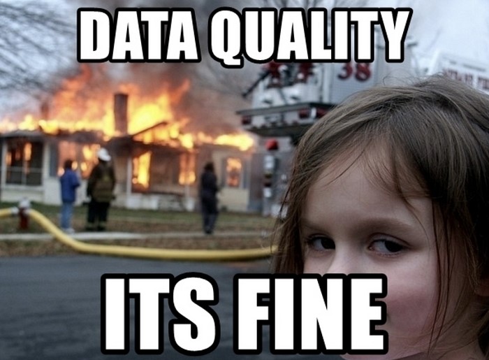 Специалист DQ мониторит качество данных