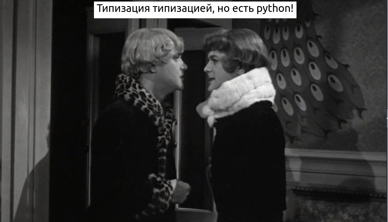 Спор о необходимости типизации в Python