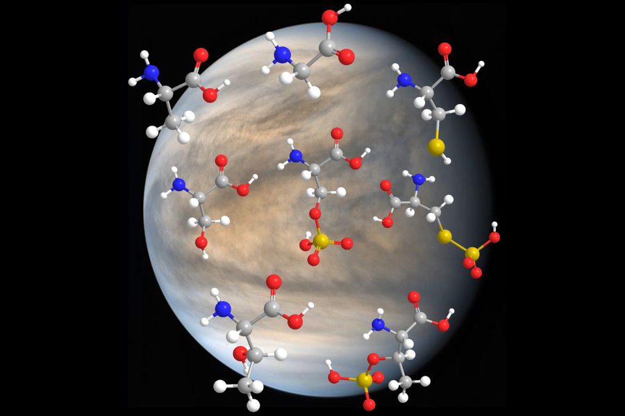 Исследователи Массачусетского технологического института обнаружили, что аминокислоты — основные строительные блоки жизни на Земле - стабильны в высококонцентрированной серной кислоте. Их результаты подтверждают идею о том, что те же самые молекулы могут быть стабильными в кислотных облаках Венеры. Credit: JAXA/J. J. Petkowski