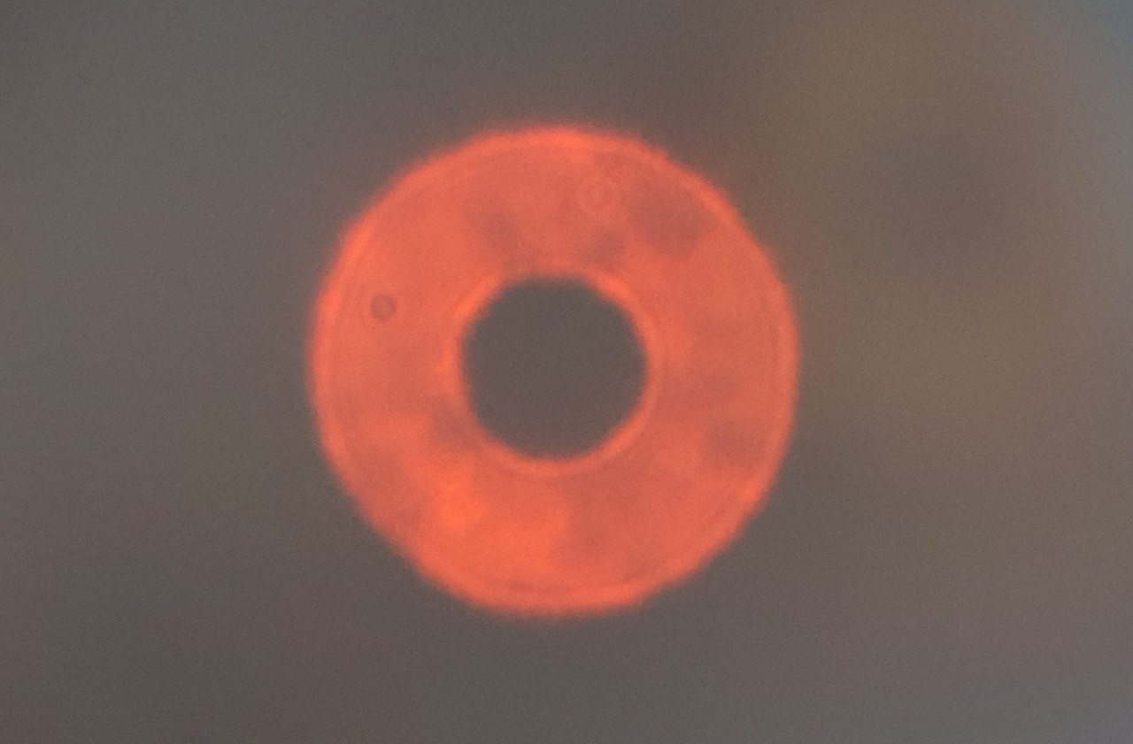 Внефокал далекого фонаря через хорошо остывший телескоп