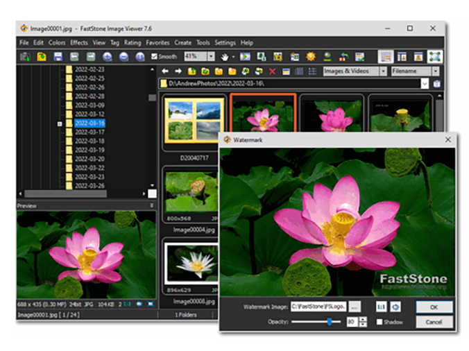 FastStone Image Viewer приложение для просмотра фотографий