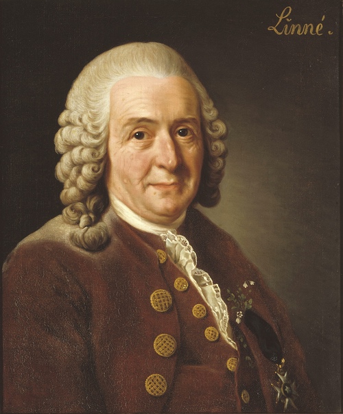 Карл Линней 23.05.1707 — 10.01.1778