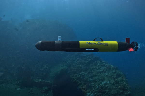 Автономный необитаемый подводный аппарат (АНПА или AUV)  