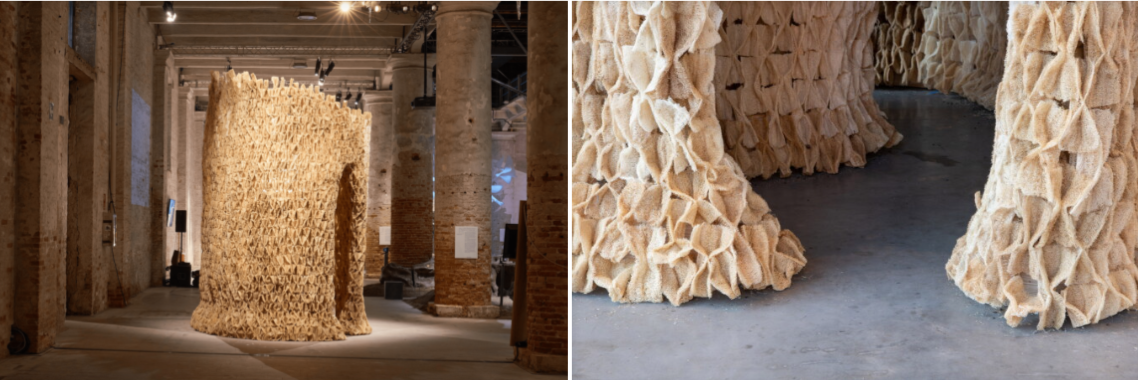 Инсталляция Alive изготовлена из высушенных волокон люффы — недорогого и возобновляемого растения. Поверхность люффы идеально подходит, чтобы разместить там микробов. Источник  