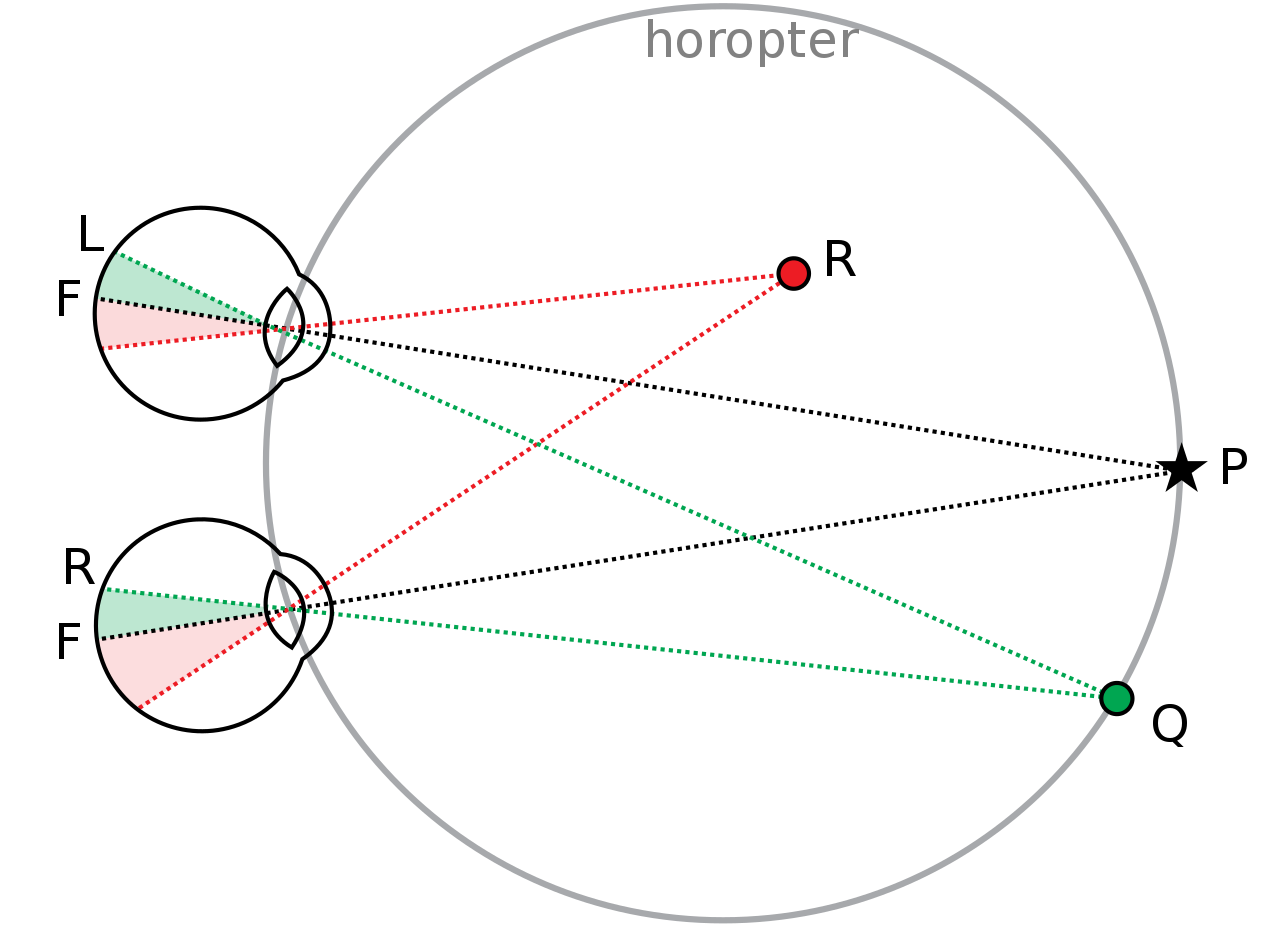 Распространение световых лучей из точек R, P, Q на глаза 