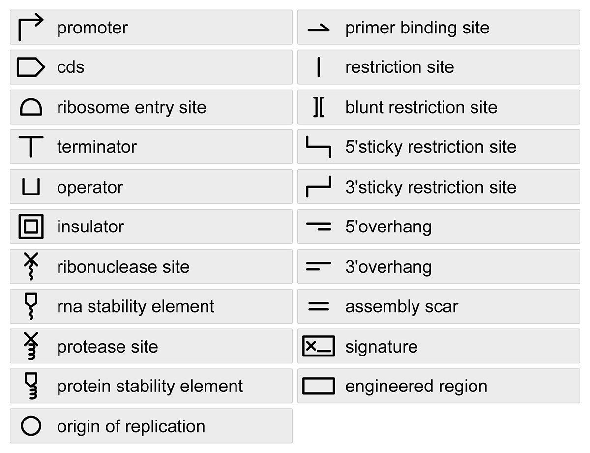 Таблица стандартизированных символов BioBricks. Они обозначают функции различных фрагментов ДНК, используемых в синтетической биологии для сборки биосистем  