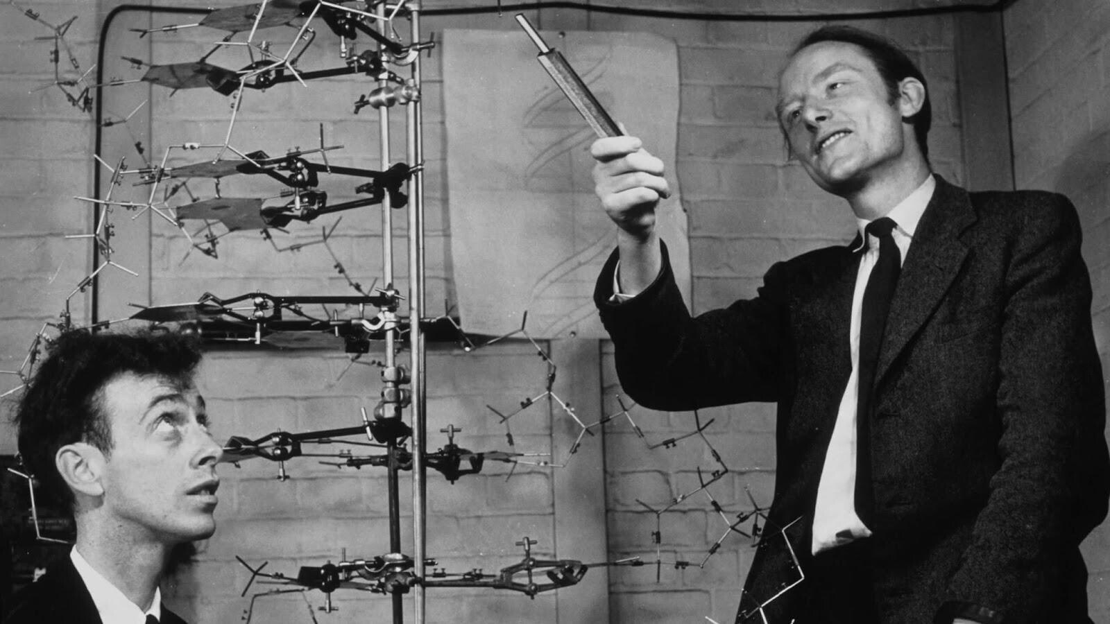 Джеймс Уотсон и Фрэнсис Крик с моделью двойной спирали ДНК  