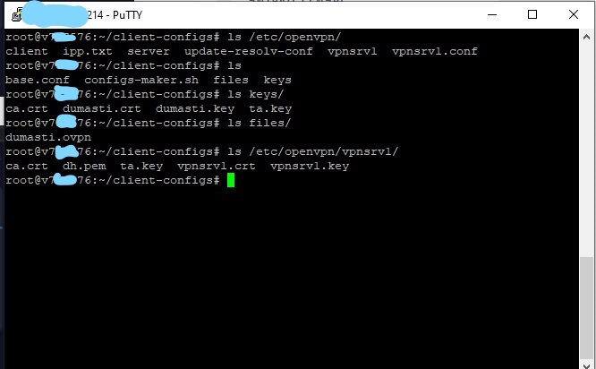 Вот как выглядит структура OpenVPN у меня на сервере