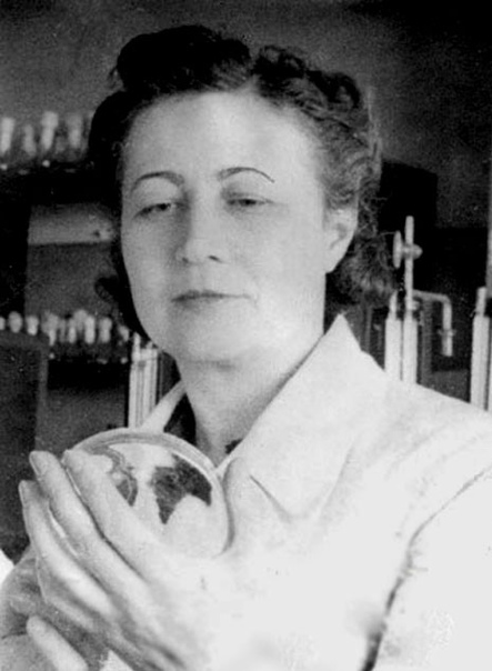 Зинаи́да Виссарио́новна Ермо́льева (2 октября 1897 или 12 октября 1898, — 2 декабря 1974, Москва) — советский микробиолог и эпидемиолог, действительный член Академии медицинских наук СССР, создательница антибиотиков в СССР. Лауреат Сталинской премии первой степени.