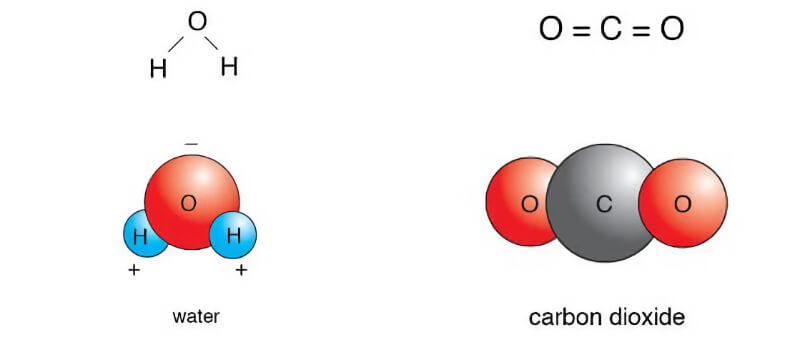Отличия структуры молекул воды и диоксида углерода