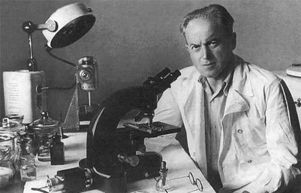 Лев Алекса́ндрович Зи́льбер (15 марта 1894 года, Псков, Российская империя — 10 ноября 1966 года, Москва, СССР) — выдающийся советский иммунолог и вирусолог, создатель советской школы медицинской вирусологии.