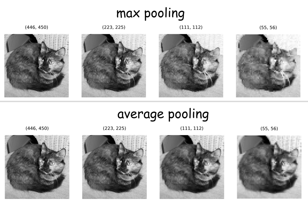    65 , max pooling   ,  average pooling -   